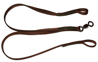 Recovery Harnesses